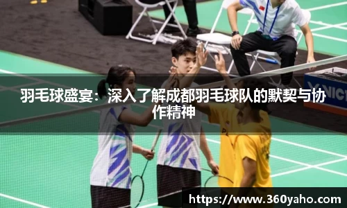 羽毛球盛宴：深入了解成都羽毛球队的默契与协作精神